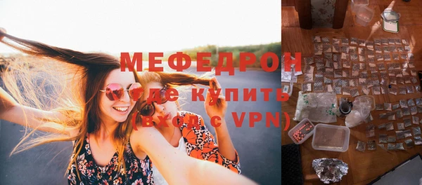индика Инсар